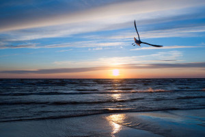 jurmala
